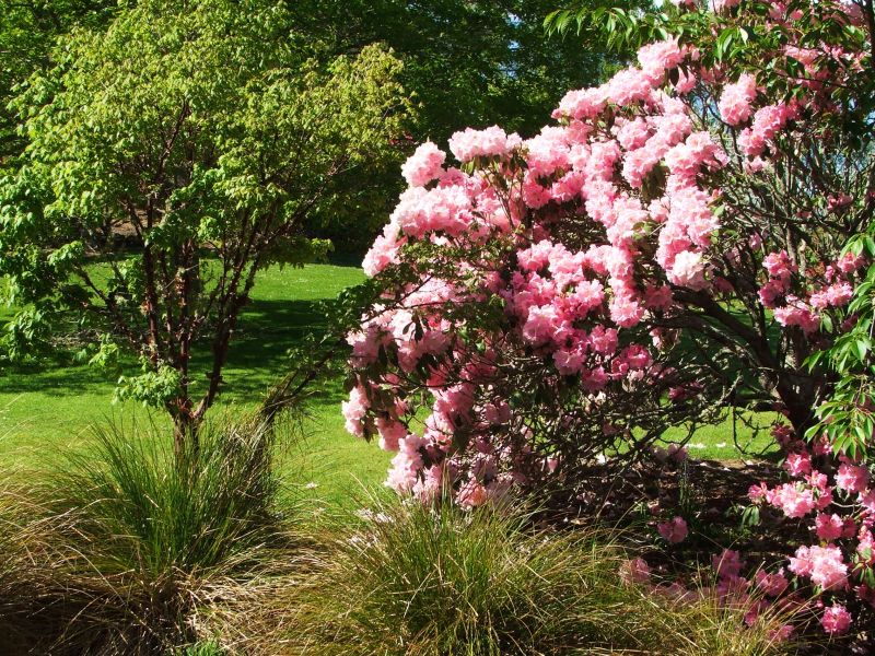 Gallery Heritage Park