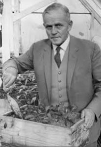 Dr John Yeates