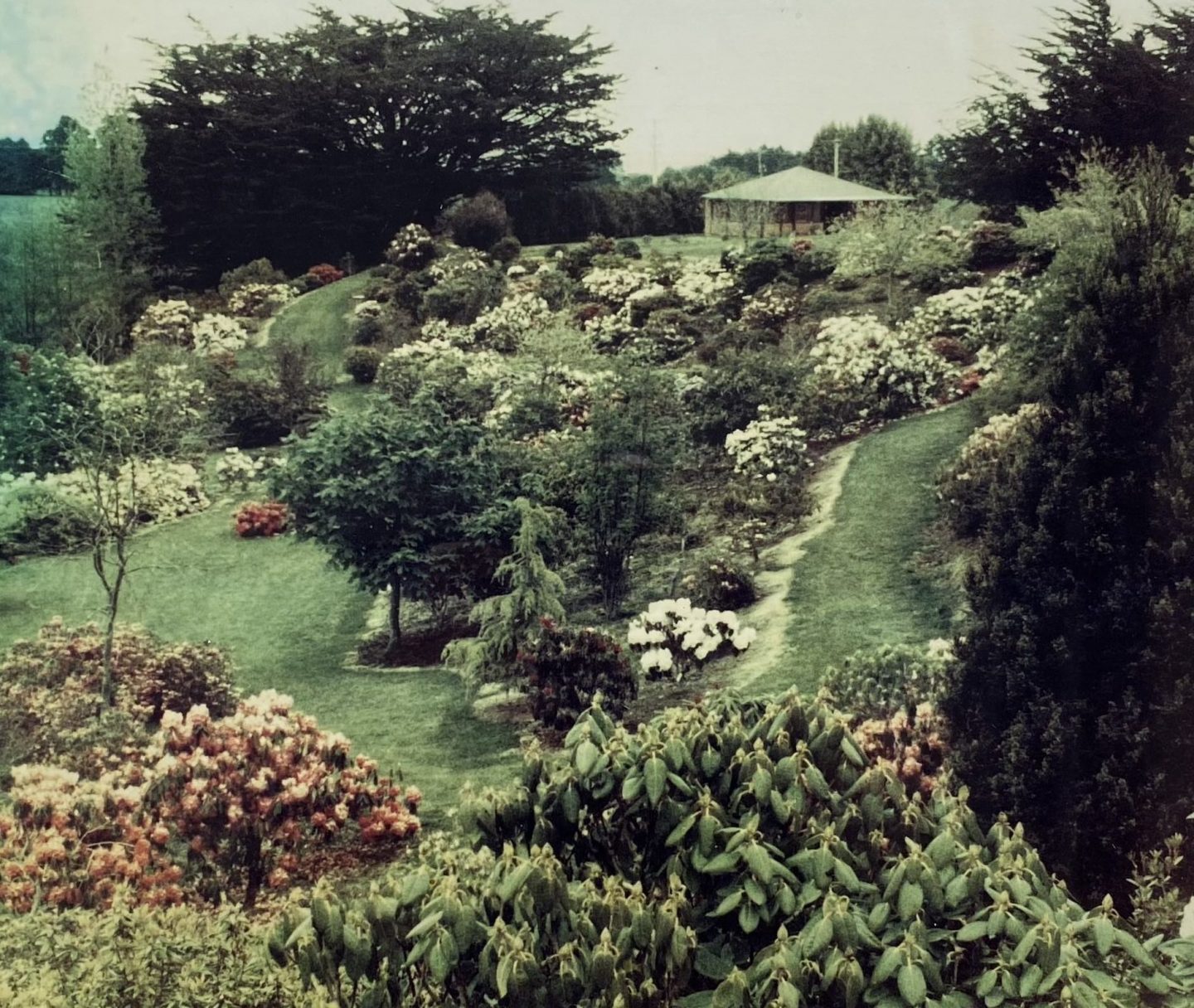 Heritage Park Near Me A Journey Through Time and Culture