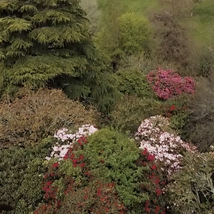 Visit - Heritage Park