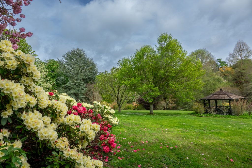 Eastern Border Towards the Gazebo