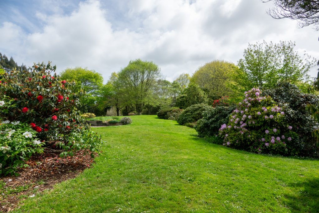 The Upper Lawn in Late Spring